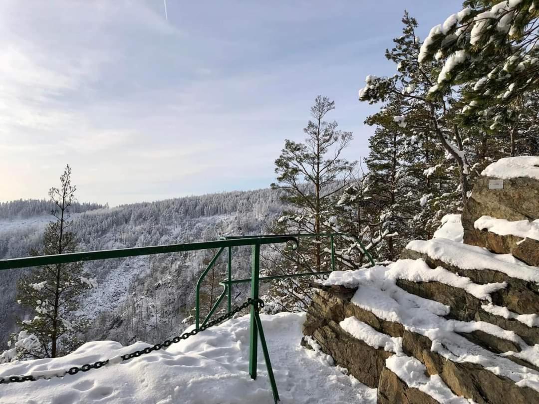 Bungalow Schwarzatalblick In Bad Blankenburg Ortsteil Boehlscheiben Exterior foto
